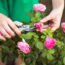 7 Garden Rules You Can Safely Break Once Mid-August Hits