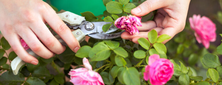 7 Garden Rules You Can Safely Break Once Mid-August Hits 7 Garden Rules You Can Safely Break Once Mid-August Hits