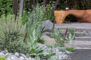 9 Creative Landscape-Designer Tricks for Drought-Tolerant Gardens that Cut Watering Time, Not Style