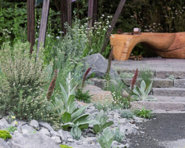 9 Creative Landscape-Designer Tricks for Drought-Tolerant Gardens that Cut Watering Time, Not Style 9 Creative Landscape-Designer Tricks for Drought-Tolerant Gardens that Cut Watering Time, Not Style