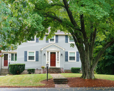 Can an HOA Fine You For Weeds in Your Yard? A Lawyer Explains What Homeowners Need to Know to Stay Out of Trouble