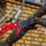 Can You Cut Your Neighbor’s Tree If It Hangs Over Your Yard? A Lawyer Explains What Gardeners Should Know First
