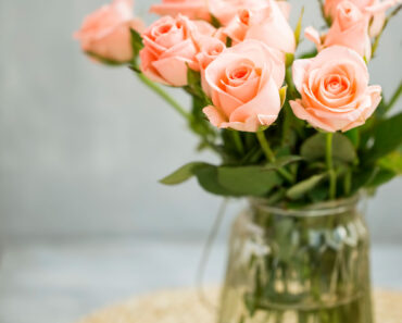 Can You Grow a Rose Bush From a Grocery Store Bouquet? This Trick Suggests You Can Do Exactly That Can You Grow a Rose Bush From a Grocery Store Bouquet? This Trick Suggests You Can Do Exactly That