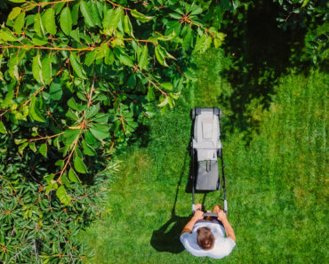 Here’s How Often You Should Actually Mow Your Lawn in August – Cutting Too Much (or Not Enough) Can Create Problems in Fall