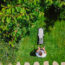Here’s How Often You Should Actually Mow Your Lawn in August – Cutting Too Much (or Not Enough) Can Create Problems in Fall