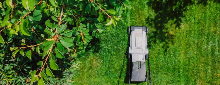 Here’s How Often You Should Actually Mow Your Lawn in August – Cutting Too Much (or Not Enough) Can Create Problems in Fall Here’s How Often You Should Actually Mow Your Lawn in August – Cutting Too Much (or Not Enough) Can Create Problems in Fall