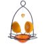 I Found A Way To Feed Birds And Banish Slugs At The Same Time – And It Costs Almost Nothing