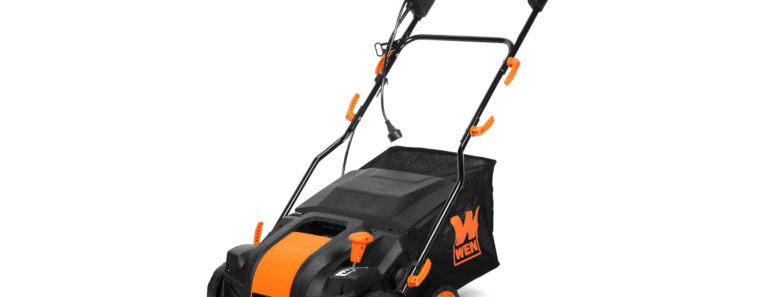 Scarifier vs Dethatcher: Experts Explain the Difference and Which One You Should Use on Your Lawn Scarifier vs Dethatcher: Experts Explain the Difference and Which One You Should Use on Your Lawn