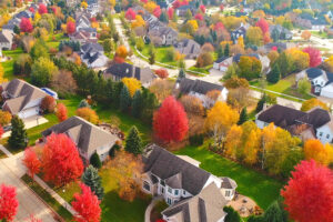 The 2026 Fall Foliage Forecast is Out – When Will Your Garden Trees Reach Peak Color?
