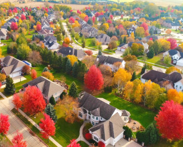 The 2026 Fall Foliage Forecast is Out – When Will Your Garden Trees Reach Peak Color? The 2026 Fall Foliage Forecast is Out – When Will Your Garden Trees Reach Peak Color?