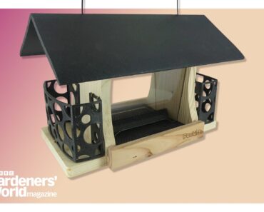 The best bird feeders for your garden in 2026