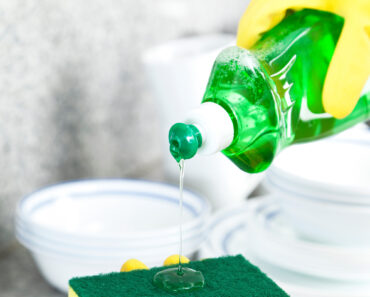 The Household Staple That Can Revive Dying Plants in Pots This Heatwave Summer