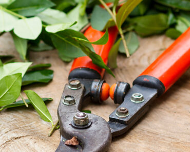 These 4 Sharpening Tools Will Save You a Shed Load in New Gear – And Help Your Cutting Supplies Last Longer These 4 Sharpening Tools Will Save You a Shed Load in New Gear – And Help Your Cutting Supplies Last Longer