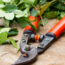 These 4 Sharpening Tools Will Save You a Shed Load in New Gear – And Help Your Cutting Supplies Last Longer