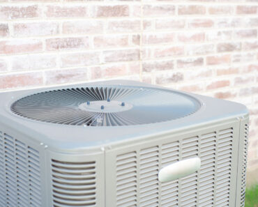 These 5 Fast-Growing Plants Hide AC Units Beautifully and Reduce Sound – Without Blocking Airflow