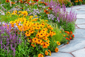 These 8 Fast-Growing Plants Fill August Gaps with Lavish Color – For a Dazzling Late Summer Flush Into Fall