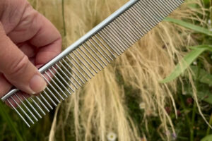 This 5 Minute Garden Job With a $4 Dog Comb in August Saves Me Hours of Weeding in Spring