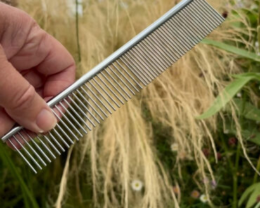 This 5 Minute Garden Job With a $4 Dog Comb in August Saves Me Hours of Weeding in Spring