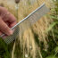 This 5 Minute Garden Job With a $4 Dog Comb in August Saves Me Hours of Weeding in Spring