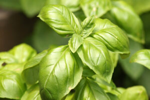 This 6 Late-Summer Herbs Actually Taste Better When the Weather Gets Hot