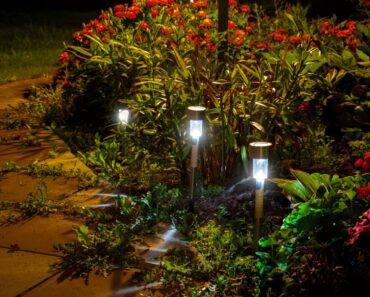 This Clever Outdoor Lighting Trend Is Quietly Replacing Harsh Floodlights This Summer – and It’s Budget-Friendly!