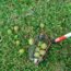 This Weird Tool is a Garden Game Changer – It Prevents Pests and Diseases in Your Yard (and Will Save Your Back!)