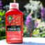 Weekend Win: Boost Patio Containers with Tomato Feed to Encourage a Last Flush of Flowers
