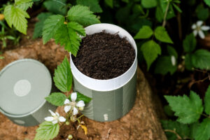 You Can Now Be Composted and Returned to Your Garden as Soil – the End-Of-Life Care Option That’s Appealing to Gardeners