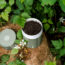 You Can Now Be Composted and Returned to Your Garden as Soil – the End-Of-Life Care Option That’s Appealing to Gardeners