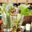 3 Easy Cuttings You Can Root in Water This September (Including the One Everyone Thinks is Impossible)