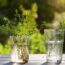 3 Easy Herb Cuttings You Can Root in Water This Fall – Plus, One That’s a Lot Easier than You Might Think