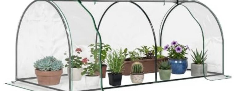 6 Budget-Friendly Greenhouses to Build Now Before the First Frost – to Keep Growing Your Favorite Plants for Longer 6 Budget-Friendly Greenhouses to Build Now Before the First Frost – to Keep Growing Your Favorite Plants for Longer