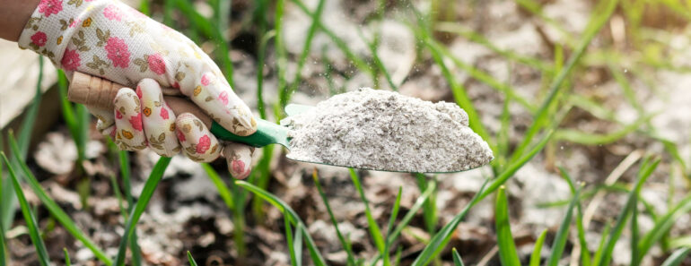 6 Smart Ways to Reuse Spent Tomato Vines (That’s Not Just Putting Them in Your Compost) 6 Smart Ways to Reuse Spent Tomato Vines (That’s Not Just Putting Them in Your Compost)
