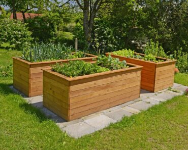 7 Accessible Gardening Ideas Everyone Should Try – They Make Growing Easier for Gardeners of All Ages & Abilities