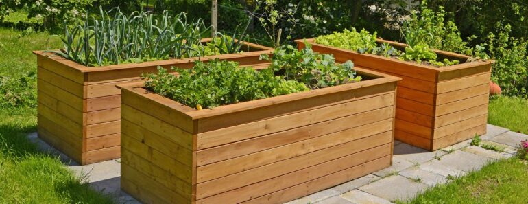 7 Accessible Gardening Ideas Everyone Should Try – They Make Growing Easier for Gardeners of All Ages & Abilities 7 Accessible Gardening Ideas Everyone Should Try – They Make Growing Easier for Gardeners of All Ages & Abilities