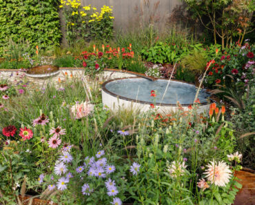7 Small Gardening Hacks That Will Actually Change How You Garden