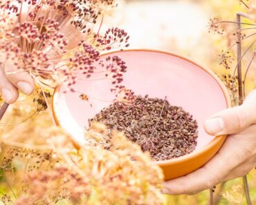 Can You Take Seeds From Public Plants? The Legal Rules Gardeners Should Know Before Pocketing Seed Pods Can You Take Seeds From Public Plants? The Legal Rules Gardeners Should Know Before Pocketing Seed Pods