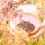 Can You Take Seeds From Public Plants? The Legal Rules Gardeners Should Know Before Pocketing Seed Pods