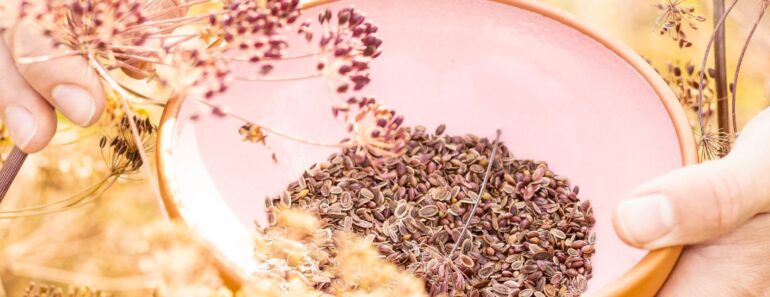 Can You Take Seeds From Public Plants? The Legal Rules Gardeners Should Know Before Pocketing Seed Pods