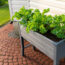 Check Self-Watering Pots and Raised Beds Have this Vital Feature in September or Risk Drowning Your Plants