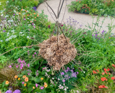 DIY a Bug Hotel to Give Beneficial Garden Insects a Home Before Temperatures Drop DIY a Bug Hotel to Give Beneficial Garden Insects a Home Before Temperatures Drop