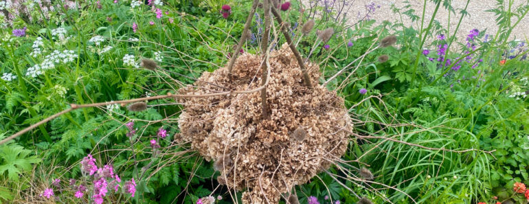 DIY a Bug Hotel to Give Beneficial Garden Insects a Home Before Temperatures Drop