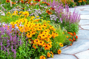 Every Garden Needs One Plant That Can Handle Drought – These 7 Still Look Good in Early Fall Dry Spells