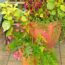 Forget Mums! These 5 Low Maintenance Container Combos Bring Fresh Curbside Color that Lasts Through Fall