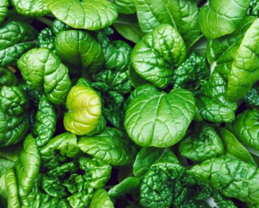 Gardening Season’s Not Over! Plant These 7 Vegetables in September for Harvests This Fall and Next Spring