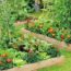 Gwyneth Paltrow’s Raised Bed Garden Is Beautiful and Practical – You Can Get the Look on Any Budget