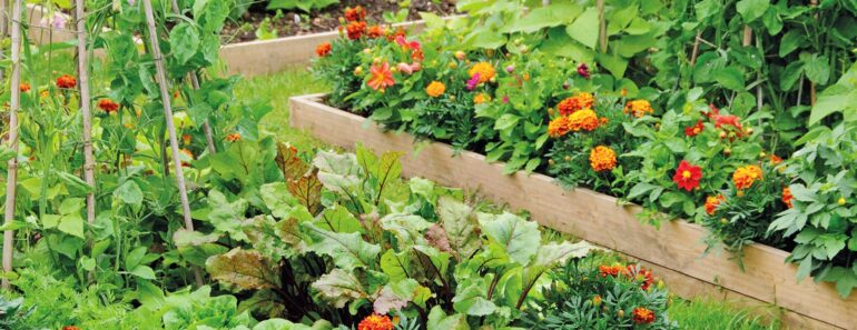 Gwyneth Paltrow’s Raised Bed Garden Is Beautiful and Practical – You Can Get the Look on Any Budget
