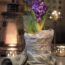 How to Plant Hyacinth Bulbs in September for Bowls of Fragrant Christmas Flowers