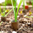 ‘I Always Save Old Toilet Paper Rolls to Use in My Garden’ – 4 Smart Ways to Turn Trash Into Garden Treasure