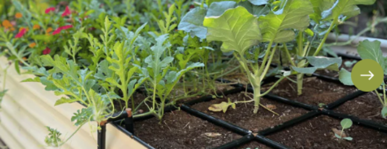 Joanna Gaines Has the Ultimate Raised Bed Garden – Her Simple but Clever Design Makes Everything Easier